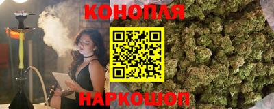 ALPHA PVP Нальчик