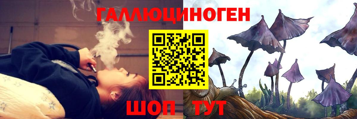Электросталь  Псилоцибиновые грибы Magic Shrooms  Вход с VPN 